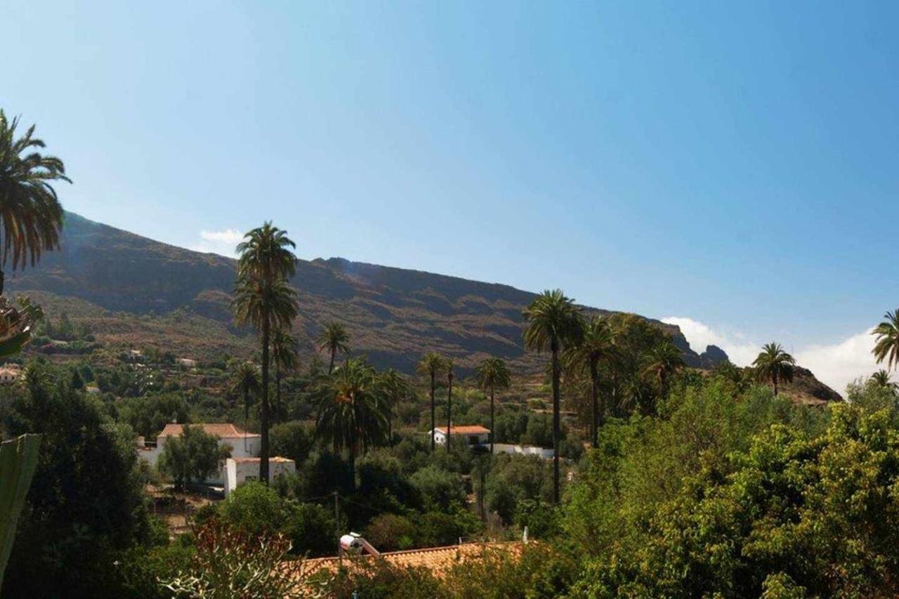 Casa Rural El Olivar La Almazara Santa Lucia De Tirajana Exterior photo